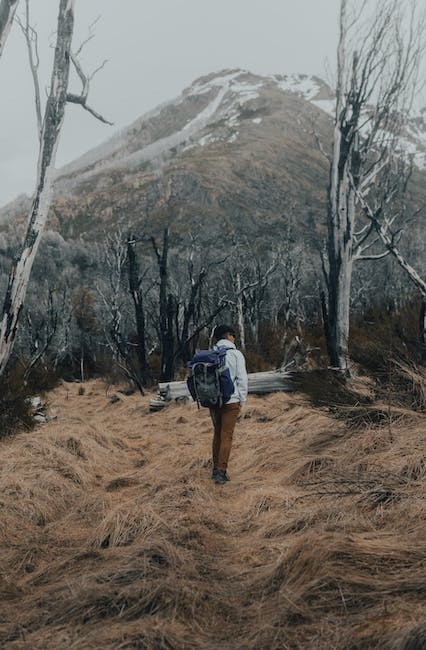 Une escapade romantique en Norvège