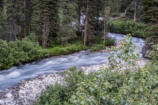 Découvrez les merveilles cachées des Cévennes : une destination de vacances à ne pas manquer !