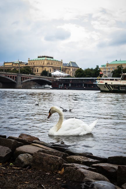 Une escapade à Prague pour découvrir ses magnifiques paysages ».