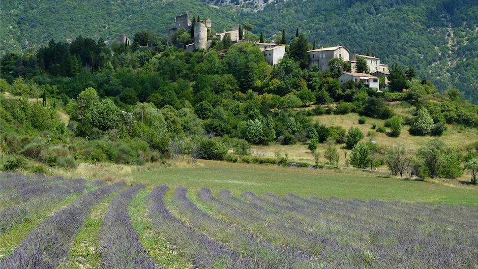 Au cœur de la Provence, un voyage d’amour et de découverte