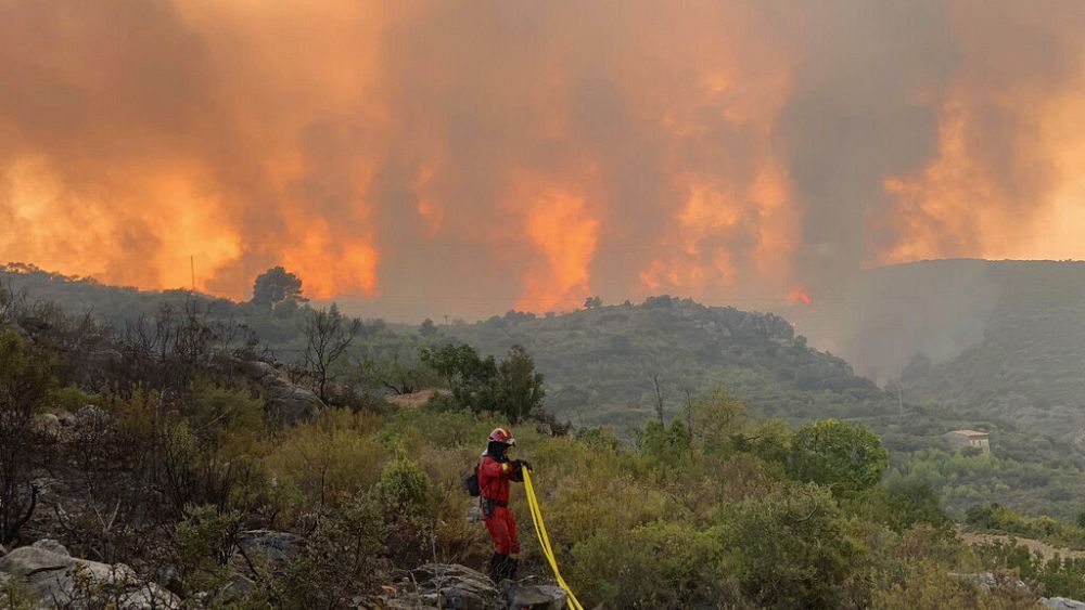 Incendie record en Europe – Plus de 600 000 hectares brûlés