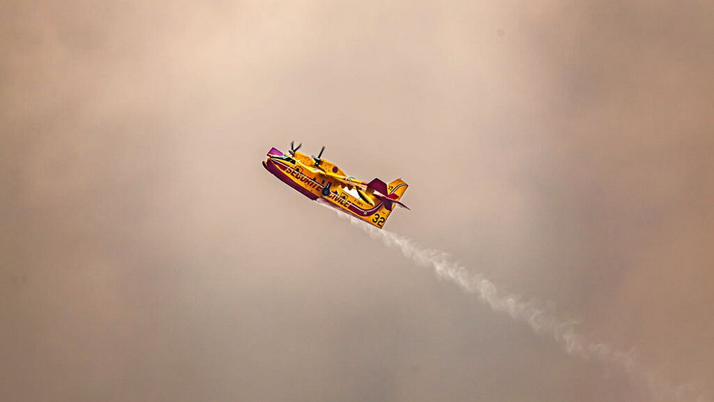 Les incendies de forêt en Europe sont actuellement à leur pire sur la côte atlantique française