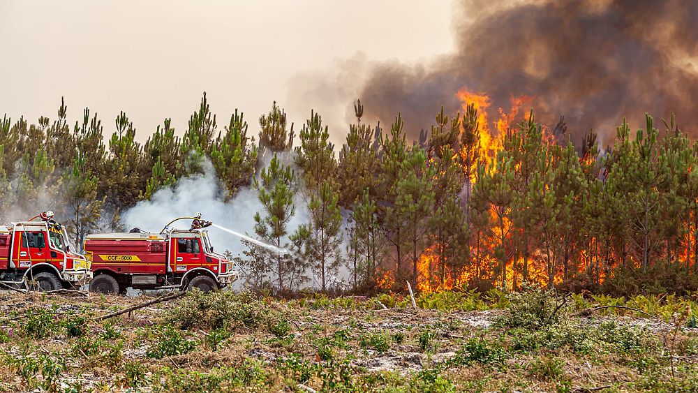 Les pompiers d’Europe luttent contre la mer de flammes en France