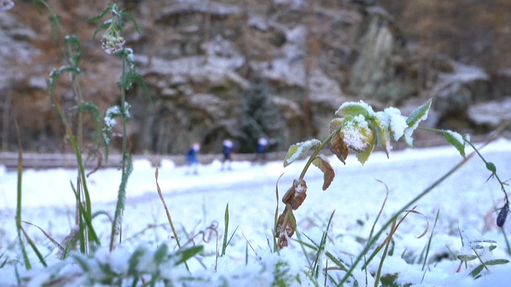 Neige garantie grâce à la sciure de bois : la station de sports d’hiver française promet des pistes blanches