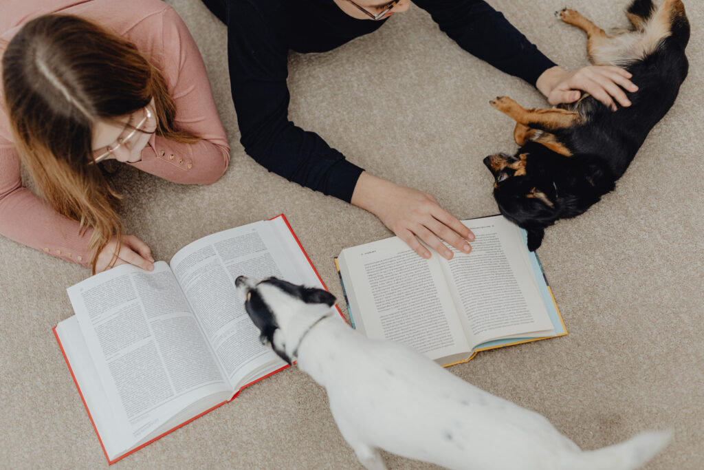 Devenez le meilleur maître pour votre chien : Apprenez tout ce qu’il y a à savoir sur l’éducation canine !